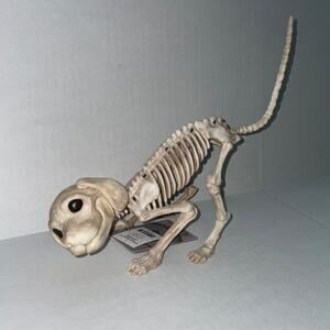 7" POUNCING PUPPY DOG SKELETON SPOOKY BONE DEAD ANIMAL PROP HALLOWEEN DECOR NEW